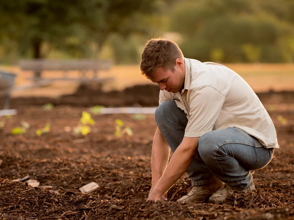 Farmers